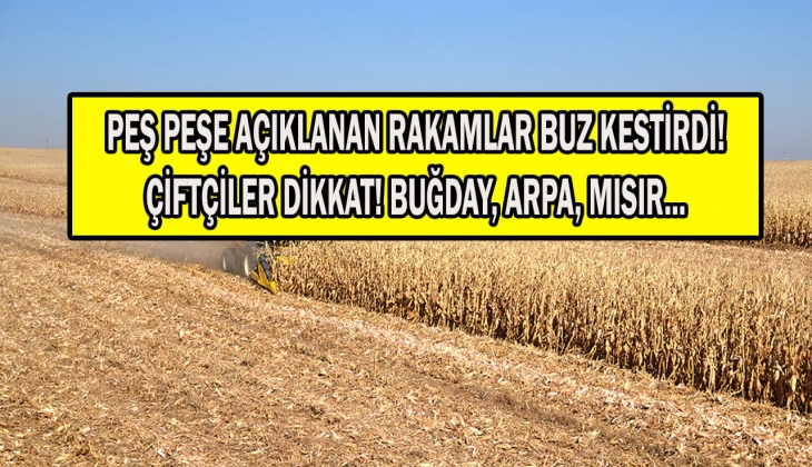 Çiftçiler dikkat! Buğday, arpa, mısır... Bir bir açıklandı! Rakamlar göreni buz kestirdi! 16 Şubat 2023 fiyat listesi