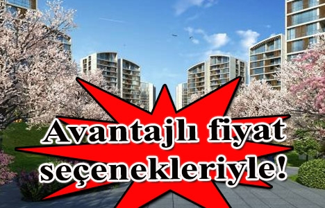 Resim İstanbul Sancaktepe'de 222 bin TL'ye! Yüzde 1 peşinatla!