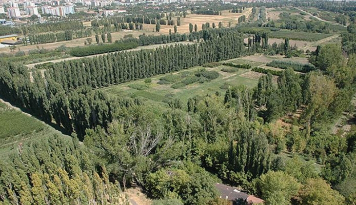 Atatürk Orman Çiftliği’nin park alanı 10 yıllığına kirata veriliyor: Birinci derece sit alanıydı!